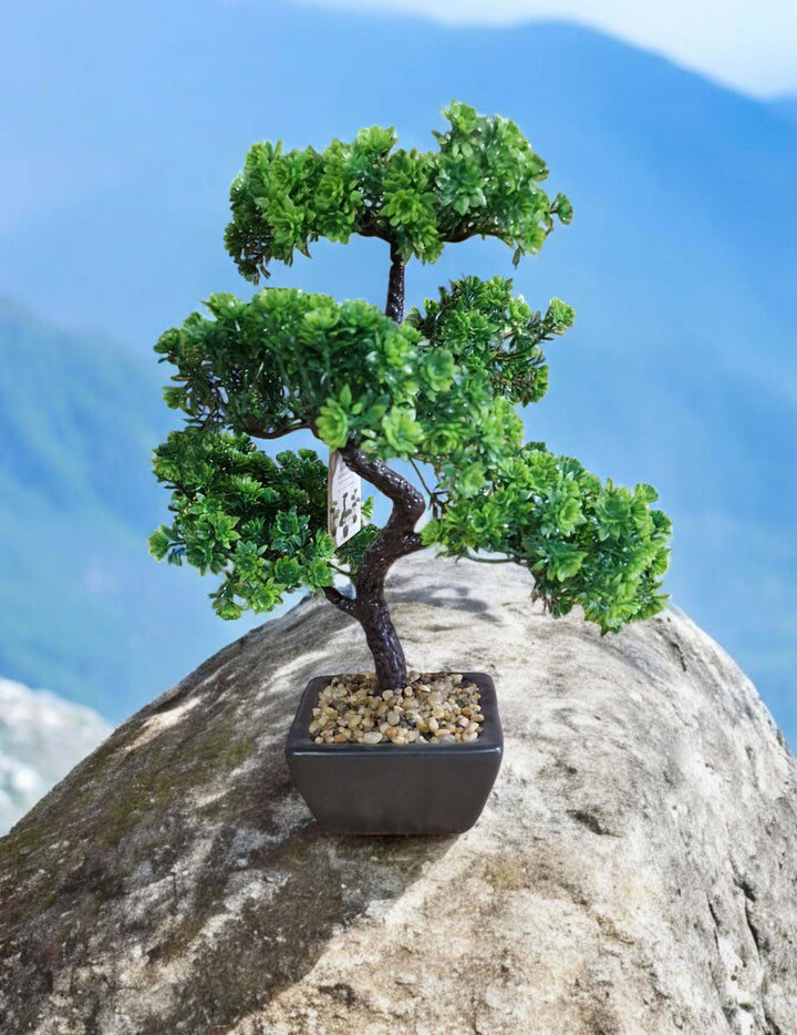 Bonsai Tree Decoration Boxwood 37cm