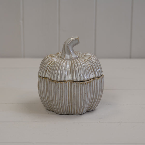 Rustic Ceramic Decorative Pumpkin Pot - White