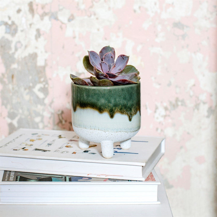 Earthy Green Ceramic Planter