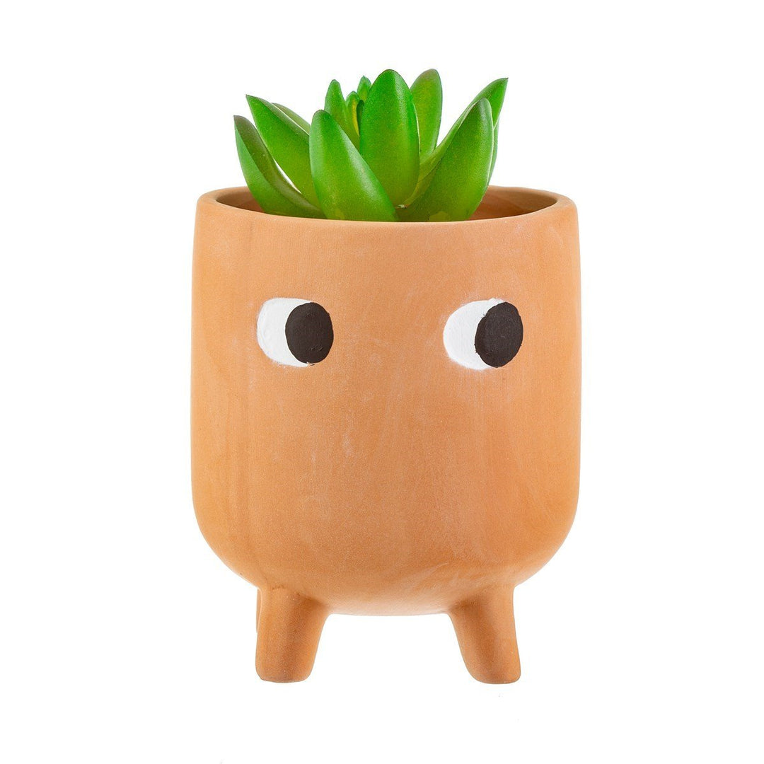 Little Leggy Terracotta Planter