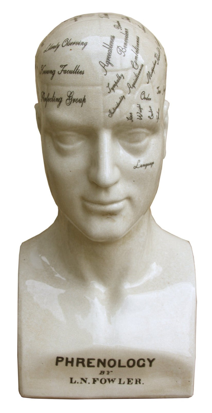 Large Ceramic Phrenology Head 42cm