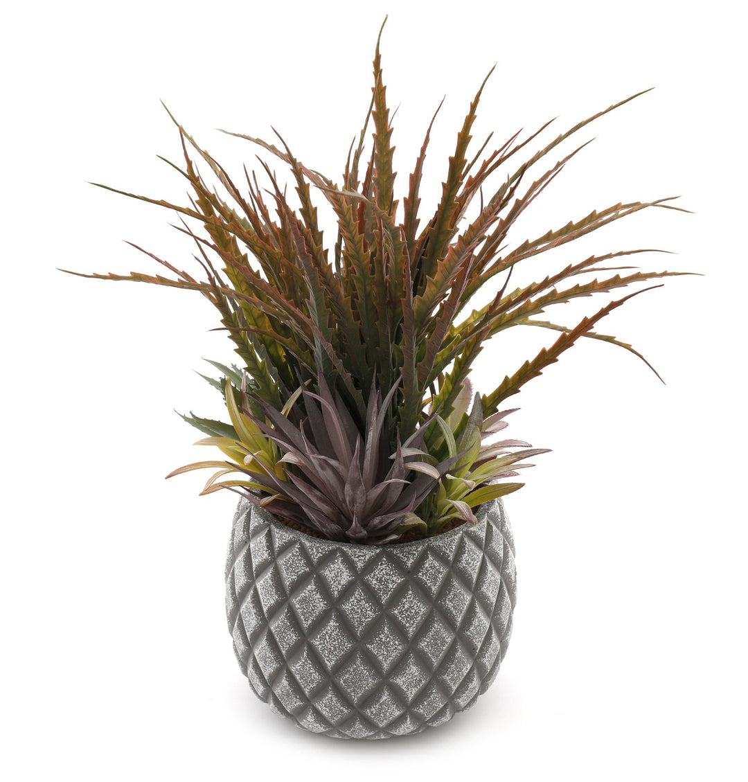 Succulents in Large Lattice Design Grey Pot