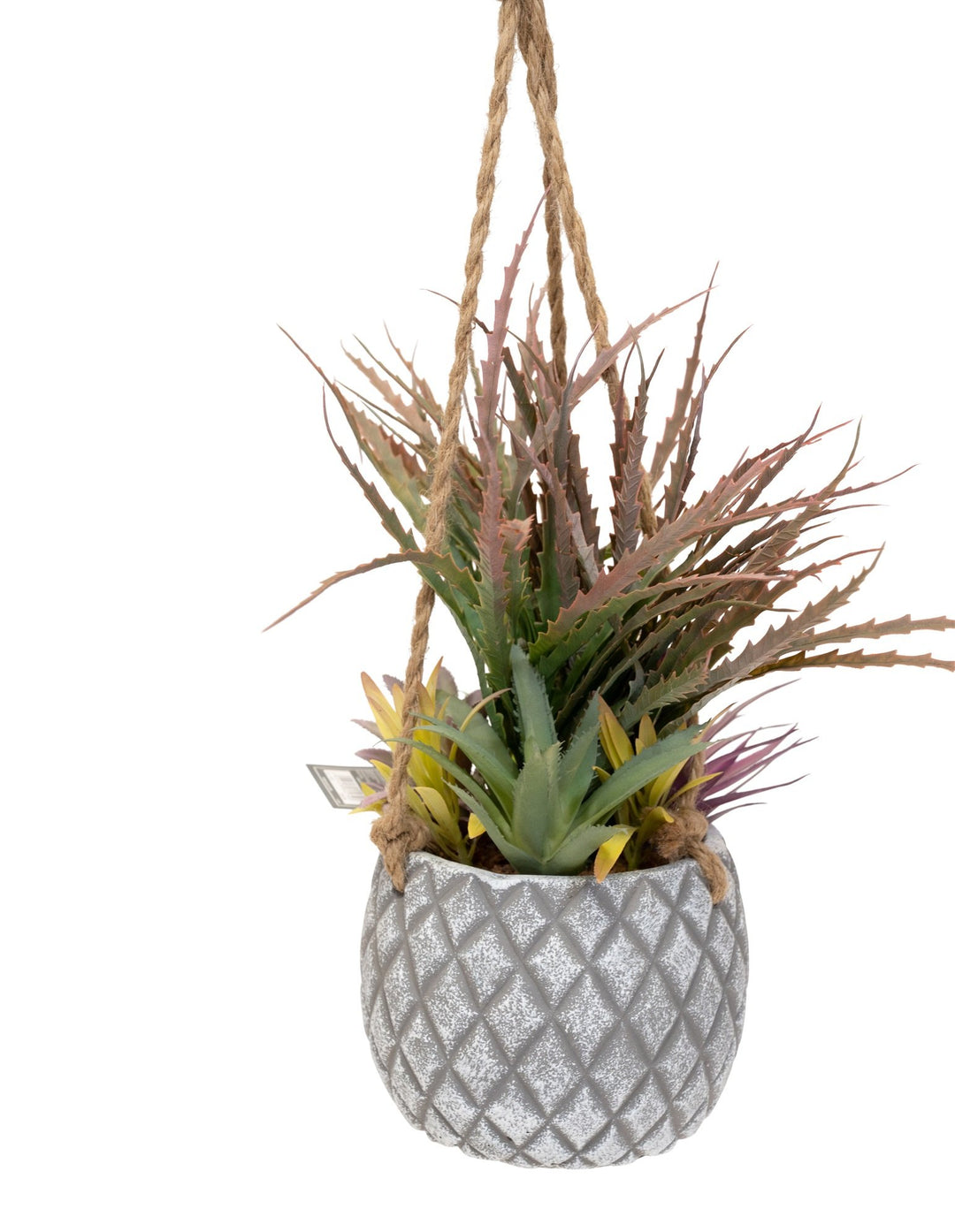 Hanging Succulents in Lattice Design Large Grey Pot