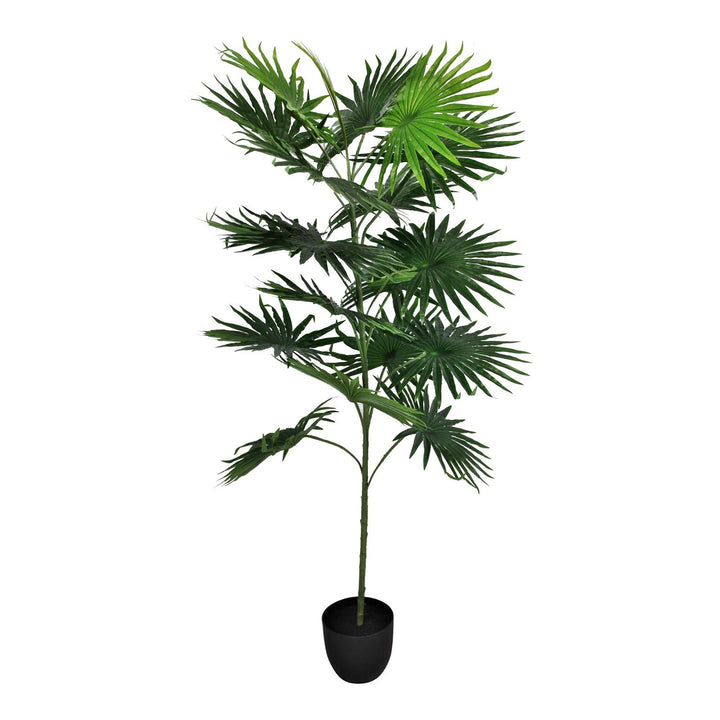 Artificial Fan Palm Tree with 18 leaves, 160cm