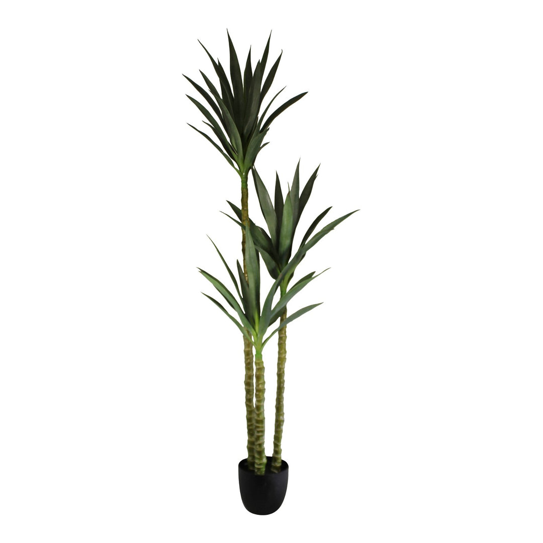 Artificial Triple Trunk Yucca Tree, 160cm