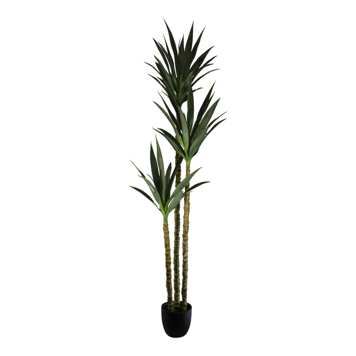 Artificial Triple Trunk Yucca Tree, 180cm