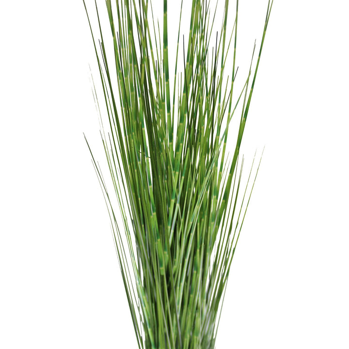 Large Bamboo Spray, 116cm