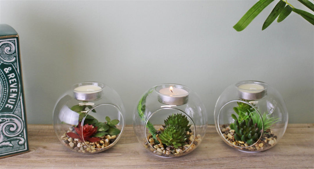 Succulent In Glass Terrarium with TeaLight Holder