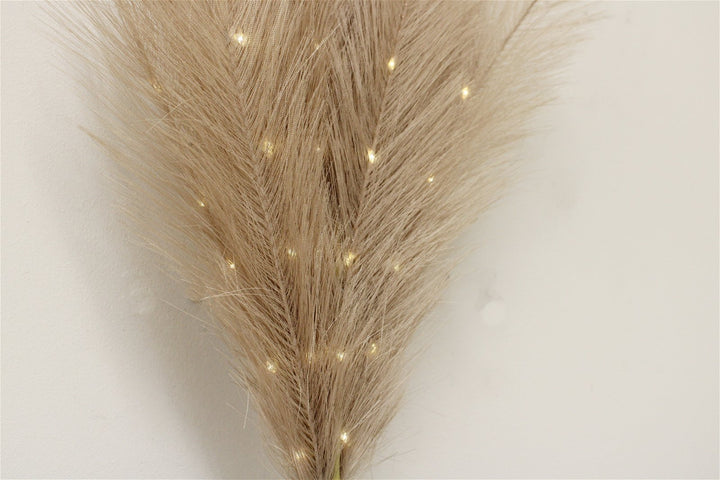 Set of Five Brown Led Pampas Grass Stems