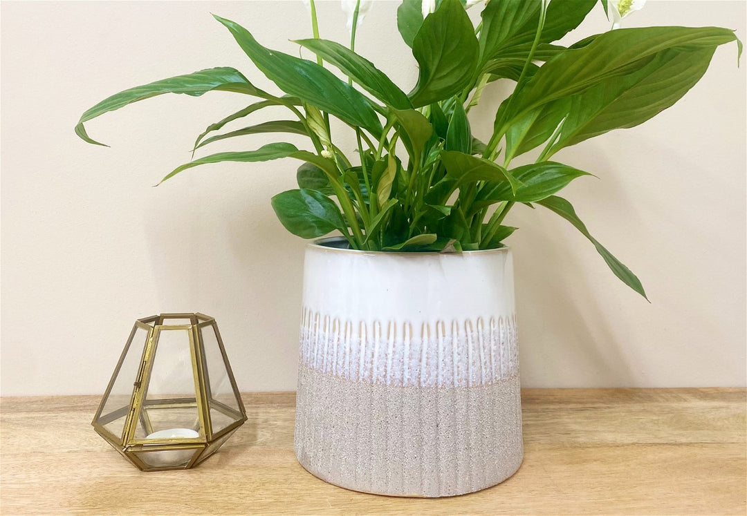 Grey Two-tone Textured Planter