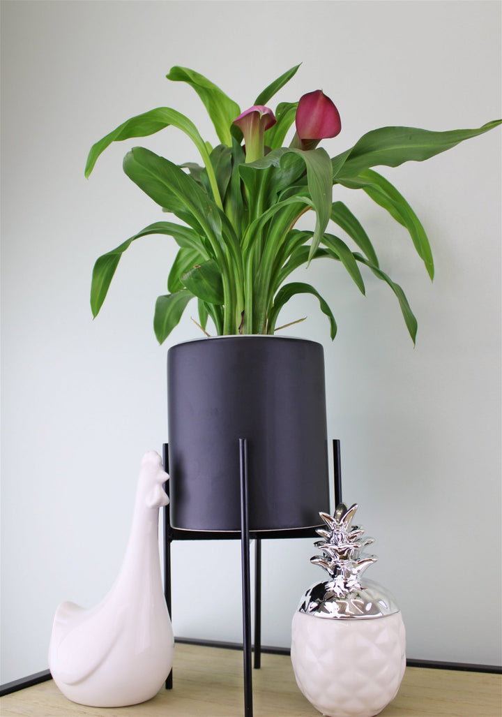 Modern Black Ceramic Planter in a Robust Iron Metal Stand - 28cm