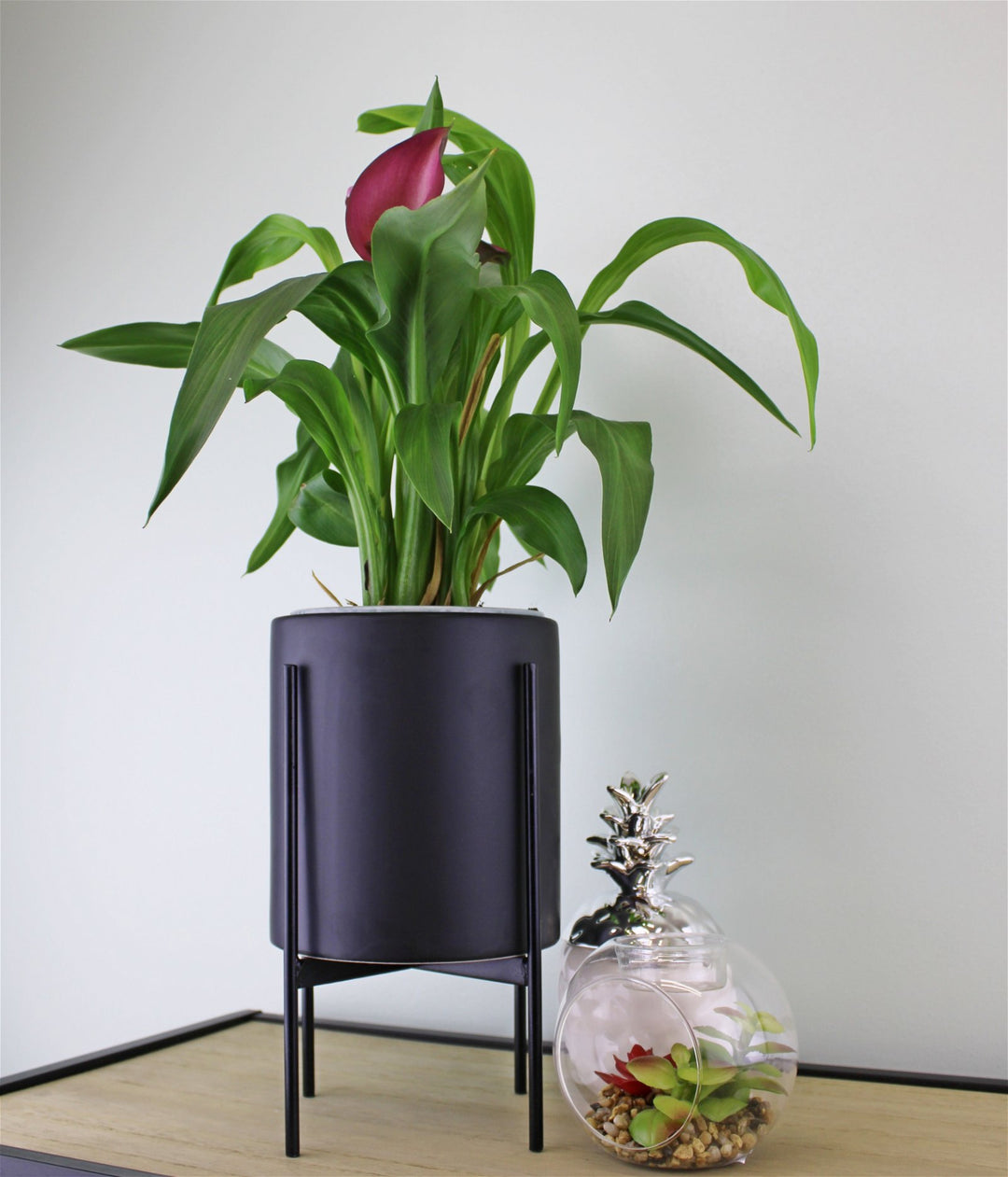 Modern Black Ceramic Planter in a Robust Iron Metal Stand - 28cm