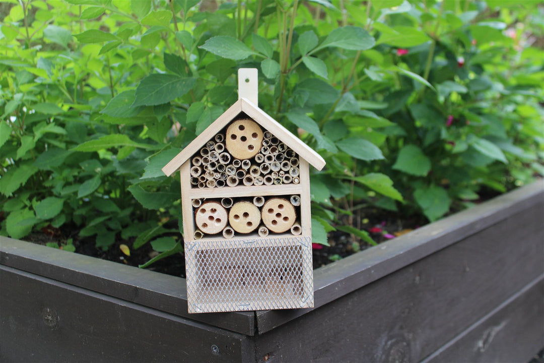 Wooden Insect House