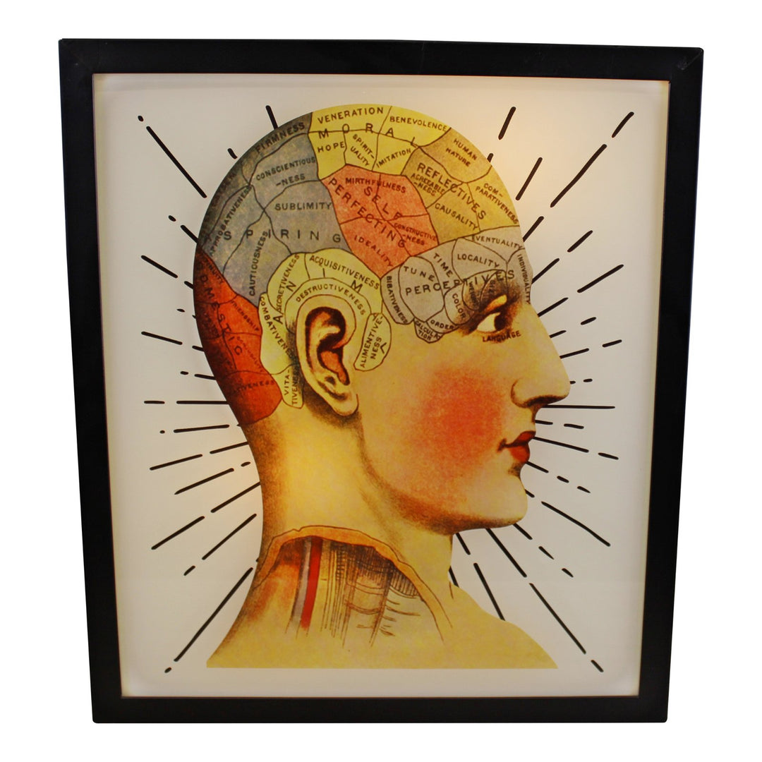 Decorative Lightbox, Phrenology Head