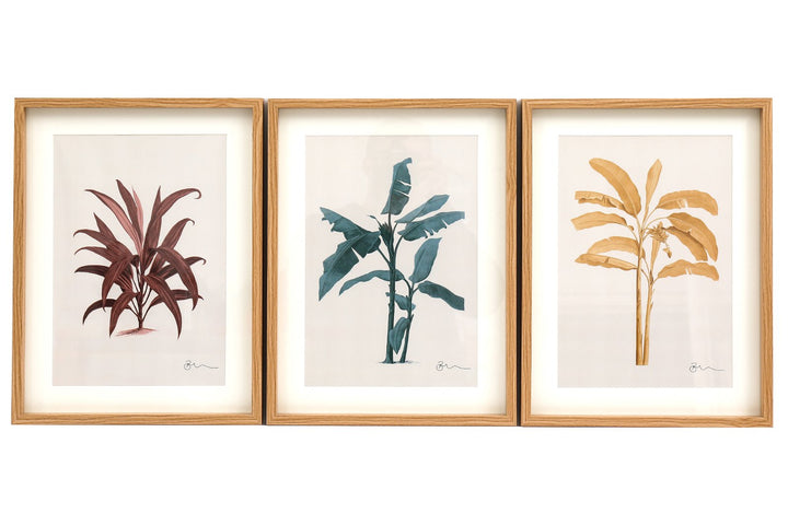 Tropical Palm Wall Art in Frames