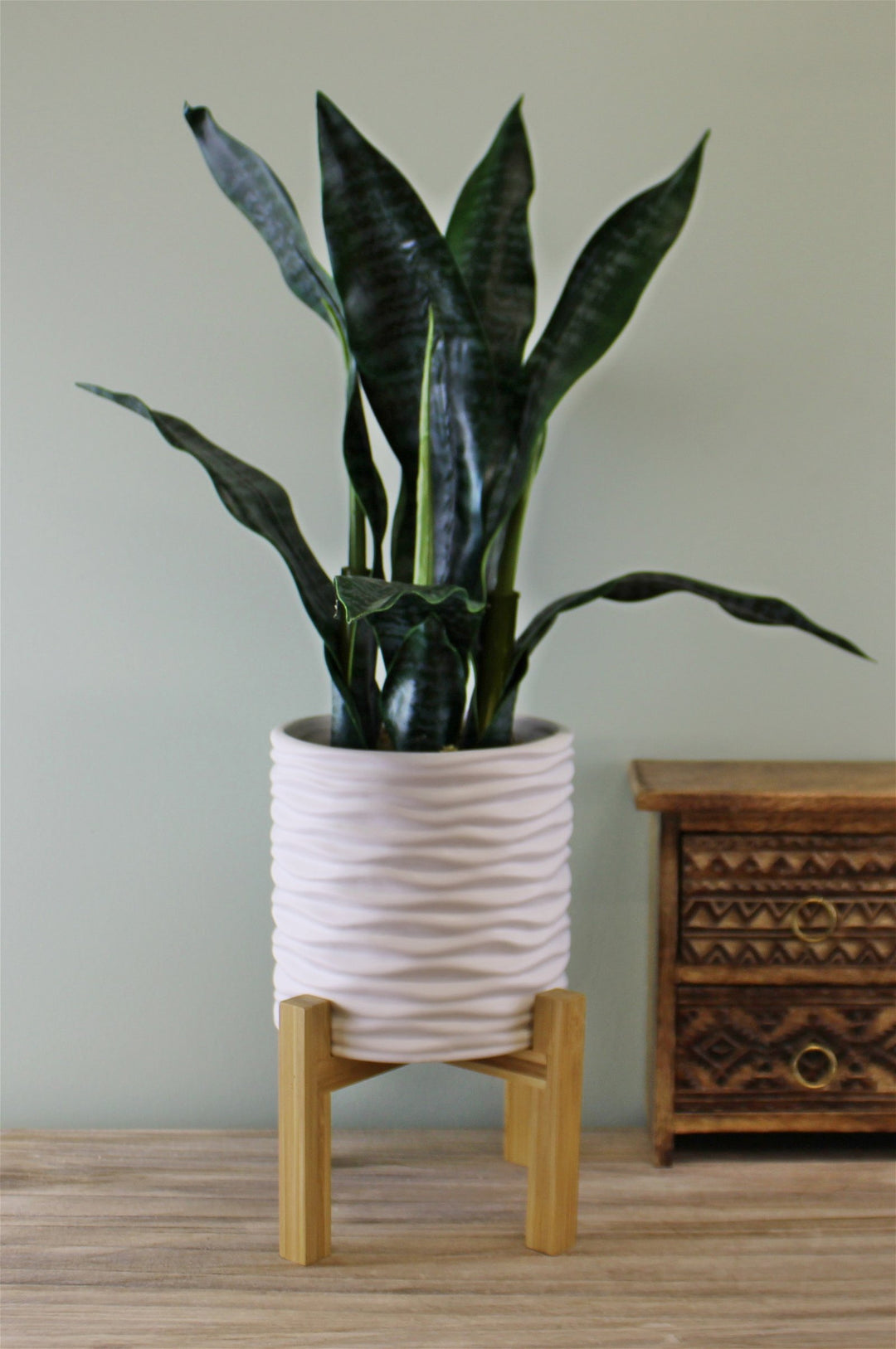 Small White Stoneware Planter On Wooden Stand