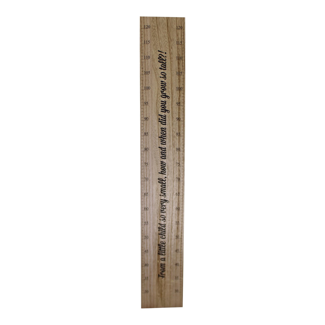 Height Chart Wall Plaque, How Did You Grow So Tall?, 100cm