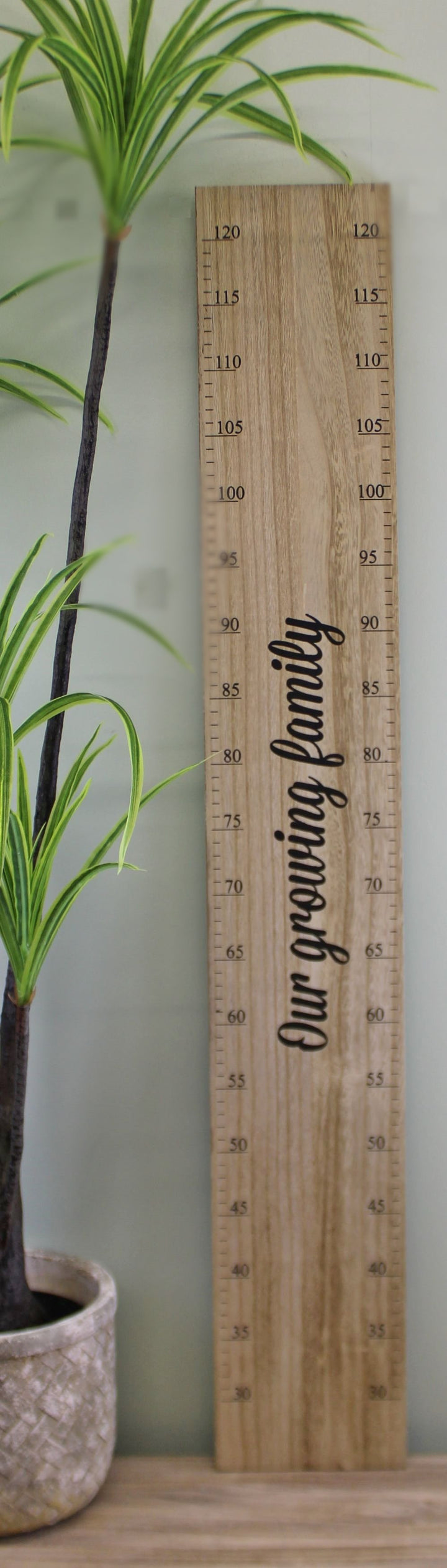 Height Chart Wall Plaque, Our Growing Family, 100cm